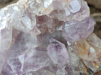 Natural Large Jacaranda Amethyst Quartz Geode x 1 From Mumbwa, Zambia