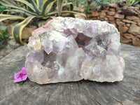 Natural Large Jacaranda Amethyst Quartz Geode x 1 From Mumbwa, Zambia