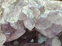 Natural Large Jacaranda Amethyst Quartz Geode x 1 From Mumbwa, Zambia