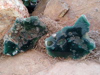 Polished on One Side Emerald Mtorolite Free Forms x 6 From Zimbabwe