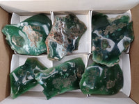 Polished on One Side Emerald Mtorolite Free Forms x 6 From Zimbabwe