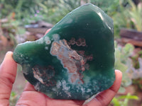 Polished on One Side Emerald Mtorolite Free Forms x 6 From Zimbabwe