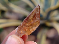 Natural Smokey Citrine Quartz Crystals x 2.46 Kg Lot From Zimbabwe