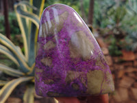 Polished Stichtite Standing Free Forms x 3 From Barberton, South Africa