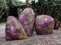 Polished Stichtite Standing Free Forms x 3 From Barberton, South Africa