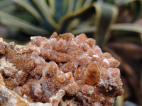 Natural Limonite Quartz Clusters x 5 From Solwezi, Zambia