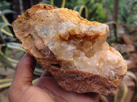 Natural Limonite Quartz Clusters x 5 From Solwezi, Zambia