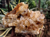 Natural Limonite Quartz Clusters x 5 From Solwezi, Zambia