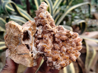 Natural Limonite Quartz Clusters x 5 From Solwezi, Zambia