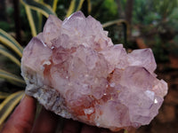 Natural Dark Amethyst Spirit Quartz Clusters x 2 From Boekenhouthoek, South Africa