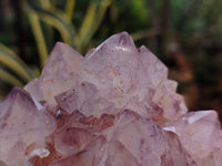 Natural Dark Amethyst Spirit Quartz Clusters x 2 From Boekenhouthoek, South Africa