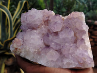 Natural Dark Amethyst Spirit Quartz Clusters x 2 From Boekenhouthoek, South Africa