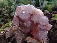 Natural Dark Amethyst Spirit Quartz Clusters x 2 From Boekenhouthoek, South Africa