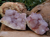 Natural Dark Amethyst Spirit Quartz Clusters x 2 From Boekenhouthoek, South Africa