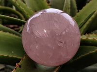 Polished Rose Quartz Spheres x 3 From Ambatondrazaka, Madagascar