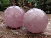 Polished Rose Quartz Spheres x 3 From Ambatondrazaka, Madagascar