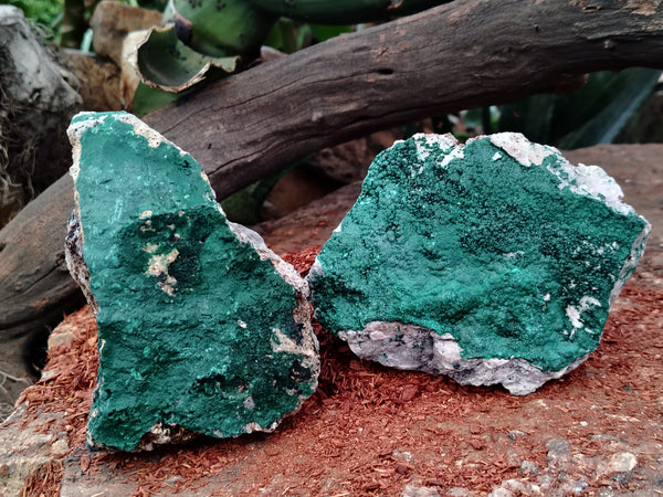 Natural Botryoidal Malachite Specimens x 4 From Tenke Fungurume, Congo