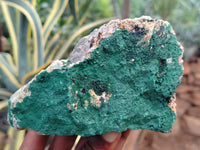 Natural Botryoidal Malachite Specimens x 4 From Tenke Fungurume, Congo