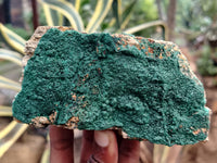 Natural Botryoidal Malachite Specimens x 4 From Tenke Fungurume, Congo