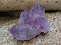 Natural Jacaranda Amethyst Single Quartz Crystals x 24 From Mumbwa, Zambia