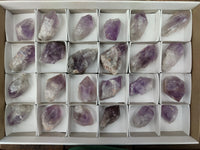 Natural Jacaranda Amethyst Single Quartz Crystals x 24 From Mumbwa, Zambia