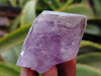 Natural Jacaranda Amethyst Single Quartz Crystals x 24 From Mumbwa, Zambia