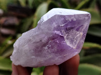 Natural Jacaranda Amethyst Single Quartz Crystals x 24 From Mumbwa, Zambia