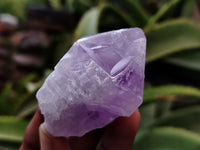 Natural Jacaranda Amethyst Single Quartz Crystals x 24 From Mumbwa, Zambia