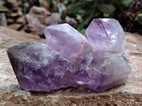 Natural Jacaranda Amethyst Single Quartz Crystals x 24 From Mumbwa, Zambia