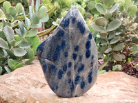 Polished Blue Spinel Spotted Quartz Leaf Sculpture x 1 From Madagascar