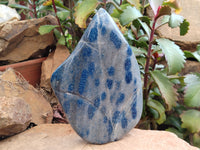 Polished Blue Spinel Spotted Quartz Leaf Sculpture x 1 From Madagascar