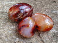 Polished Carnelian Palm Stones x 24 From Madagascar