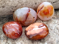 Polished Carnelian Palm Stones x 24 From Madagascar