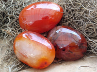 Polished Carnelian Palm Stones x 24 From Madagascar