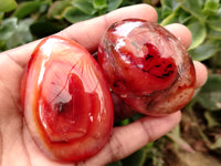 Polished Carnelian Palm Stones x 24 From Madagascar