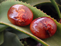 Polished Carnelian Palm Stones x 24 From Madagascar