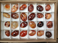 Polished Carnelian Palm Stones x 24 From Madagascar