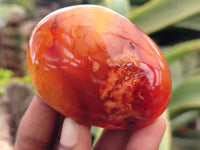 Polished Carnelian Palm Stones x 24 From Madagascar