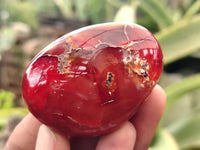 Polished Carnelian Palm Stones x 24 From Madagascar