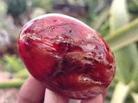 Polished Carnelian Palm Stones x 24 From Madagascar