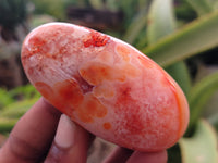 Polished Carnelian Palm Stones x 24 From Madagascar