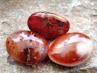 Polished Carnelian Palm Stones x 24 From Madagascar