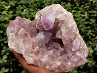 Natural Large Jacaranda Amethyst Quartz Geode x 1 From Mumbwa, Zambia