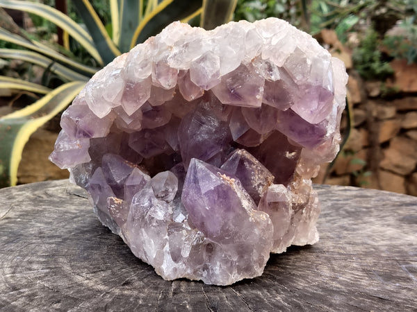 Natural Large Jacaranda Amethyst Quartz Geode x 1 From Mumbwa, Zambia