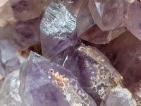 Natural Large Jacaranda Amethyst Quartz Geode x 1 From Mumbwa, Zambia