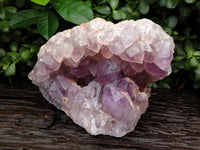 Natural Large Jacaranda Amethyst Quartz Geode x 1 From Mumbwa, Zambia