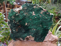 Natural Botryoidal Malachite Specimens x 1 From Tenke Fungurume, Congo