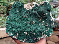 Natural Botryoidal Malachite Specimens x 1 From Tenke Fungurume, Congo