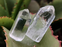 Polished Clear Quartz Crystals x 35 From Madagascar