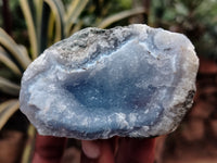 Natural Blue Lace Agate Geodes x 12 From Nsanje, Malawi